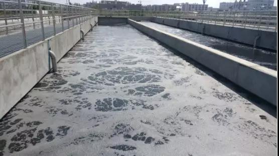 避免粪口传播!珠海污水处理启动“双保险”