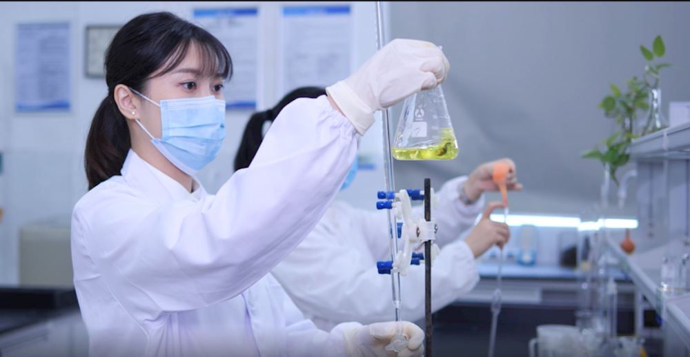 巾帼不让须眉,她们获省级巾帼文明岗荣誉