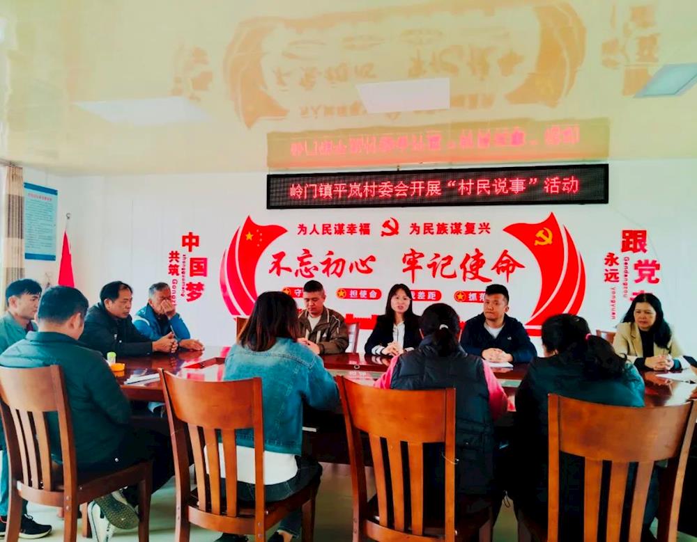 驻村第一书记以高质量党建引领平岚村全面振兴